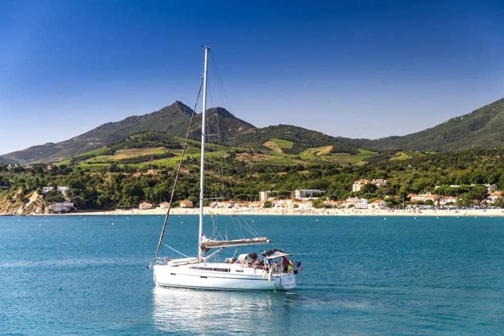 "Les Bambous" Studio Cosy Climatise Au Calme De 37 M2 Parking Gratuit A Argeles Sur Mer Ngoại thất bức ảnh